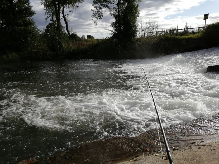 High water at Dayhouse weir - KL from bristol